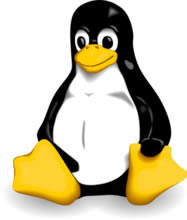 Linuxϵͳϸ˵