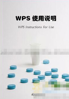 ôʹWPS 2012Ʒ   