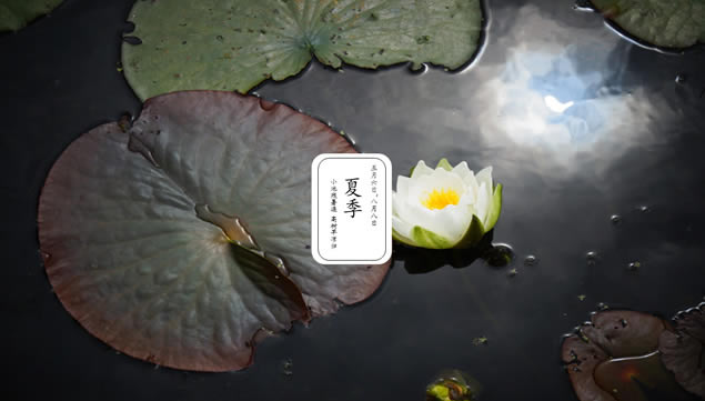 ʮĽpptģ,ģ - վ