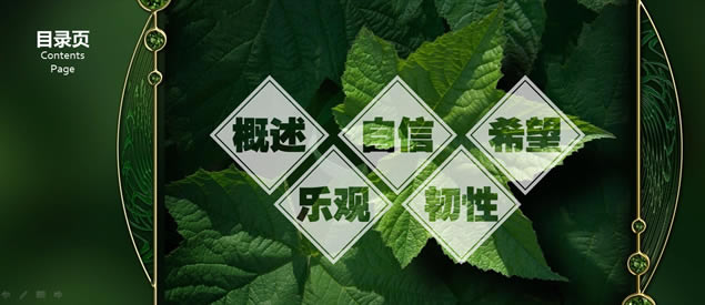 心理资本提升——布衣公子HR商务培训ppt模板,主题模板 - 本站