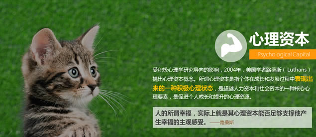 心理资本提升——布衣公子HR商务培训ppt模板,主题模板 - 本站