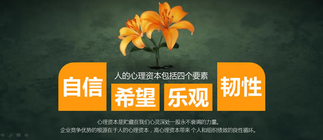 心理资本提升——布衣公子HR商务培训ppt模板,主题模板 - 本站