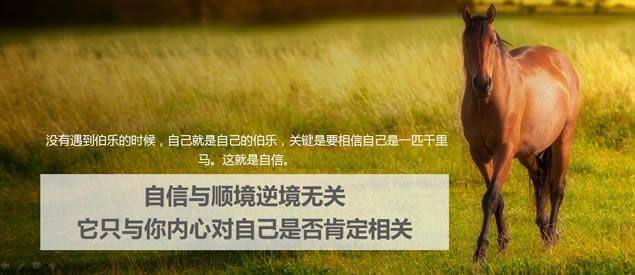 心理资本提升——布衣公子HR商务培训ppt模板,主题模板 - 本站