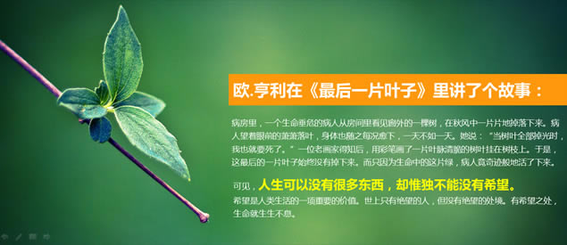 心理资本提升——布衣公子HR商务培训ppt模板,主题模板 - 本站