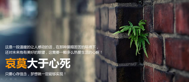 心理资本提升——布衣公子HR商务培训ppt模板,主题模板 - 本站
