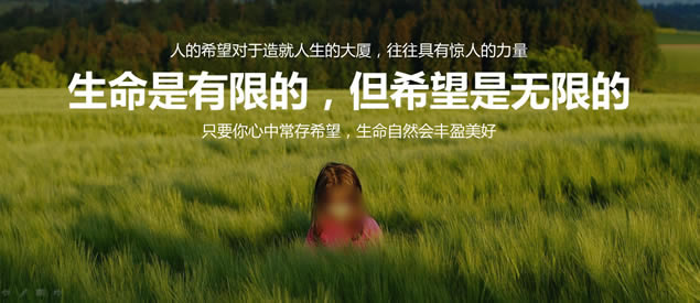 心理资本提升——布衣公子HR商务培训ppt模板,主题模板 - 本站