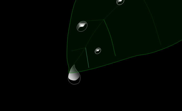PPT̬ӰƬ1