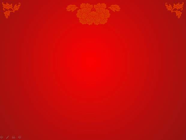 ҽԺܽᱨpptģ,ҵģ