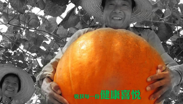 ̸԰̬ũׯpptģ,ҵģ - վ