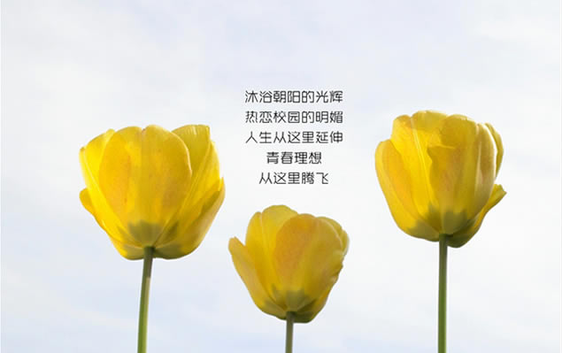 2016ʦڡʦھؿpptģ,ģ - վ