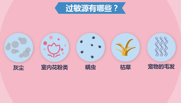 冬季皮肤过敏数据报告卡通ppt模板,主题模板 - 本站