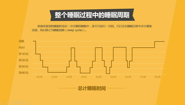 晚睡真的影响健康吗?iSlide演示设计ppt模板,主题模板 - 本站