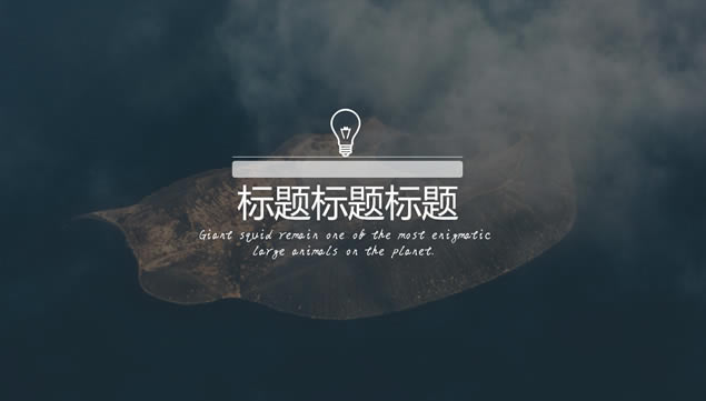 ݰʽƽԼpptģ