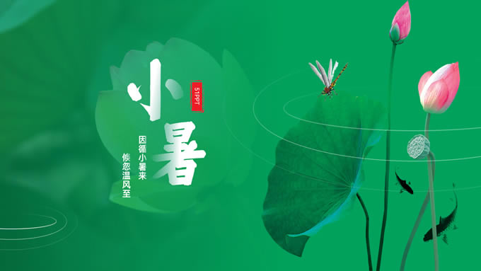 小暑——二十四节气ppt模板