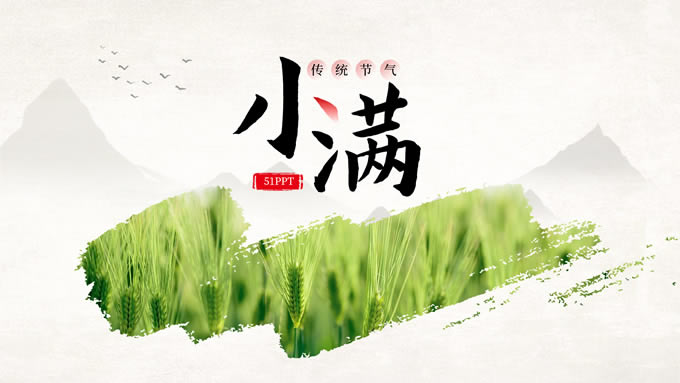 传统节气小满ppt模板