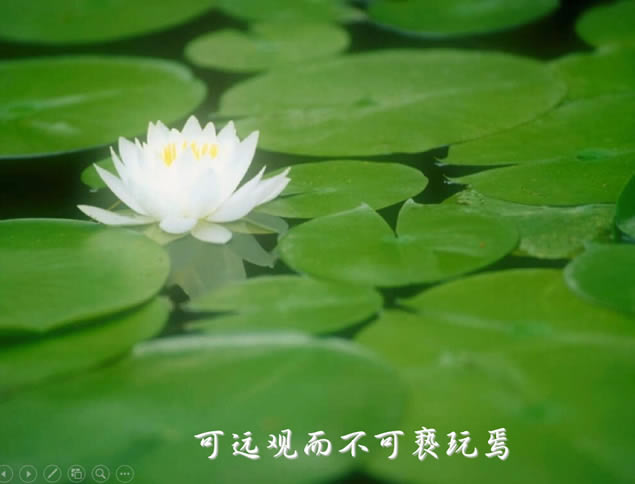 ˵й米ˮīpptģ,ģ - վ