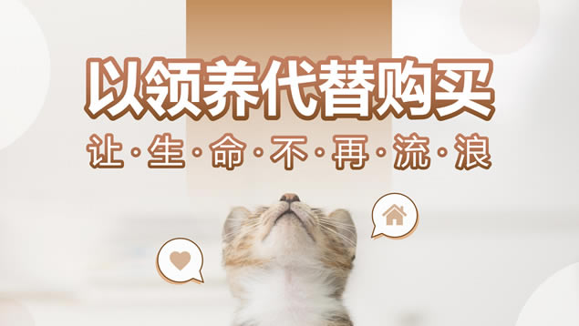 以领养代替购买 让生命不再流浪——动物保护ppt模板