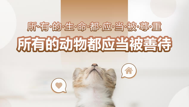 以领养代替购买 让生命不再流浪——动物保护ppt模板