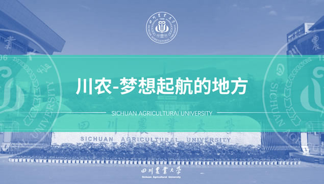 四川农业大学论文答辩通用ppt模板
