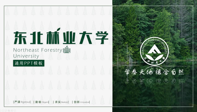东北林业大学论文答辩通用ppt模板