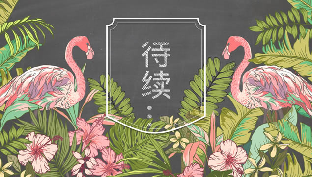 ڰ屳۱ֻԼͨշܽpptģ