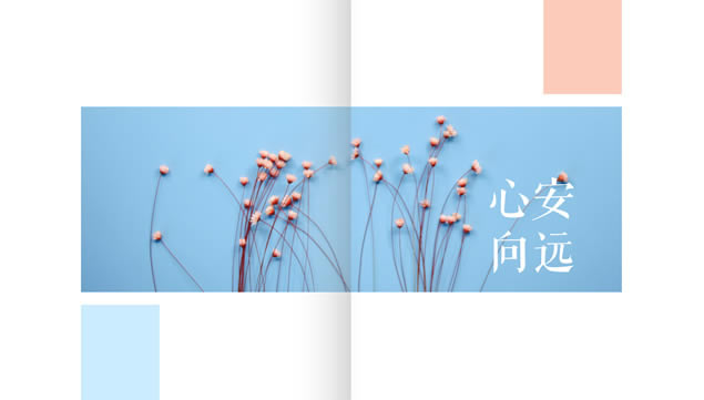 ʫշСpptģ,ģ