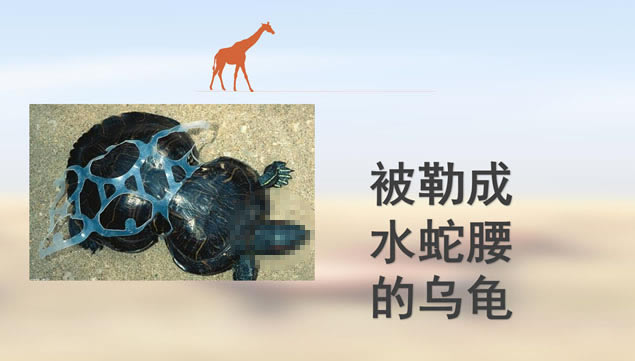 Ҫİﱣpptģ,ģ