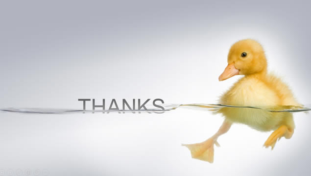 15׾ѡthanksβҳpptģ,ģ