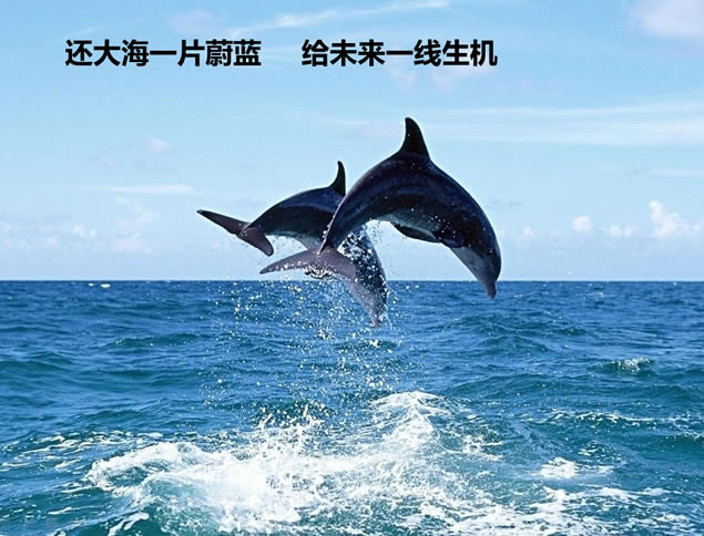 ذ滷pptģ,ģ