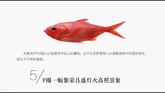 Լ ǽ̳Ҳpptģ,ģ
