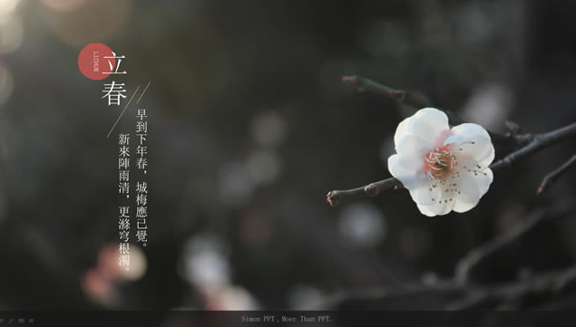 ʮĽpptģ塪Ʒ,ģ - վ