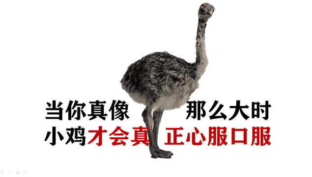 봴ʼ־Ļpptģ,ģ