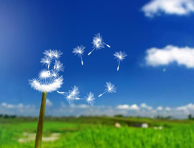 ŷ顪ѹӢ̬pptģ,ģ