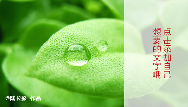 ʺϸ˽ܵſᶯƬͷppt