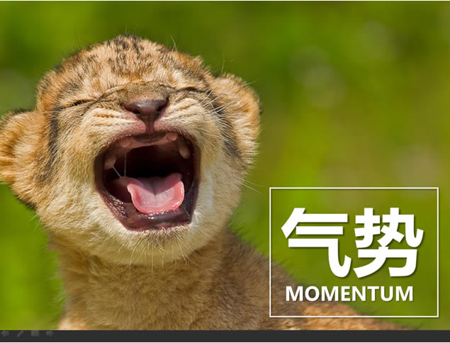 MOMENTUMһҳֽpptСģ,ģ - վ