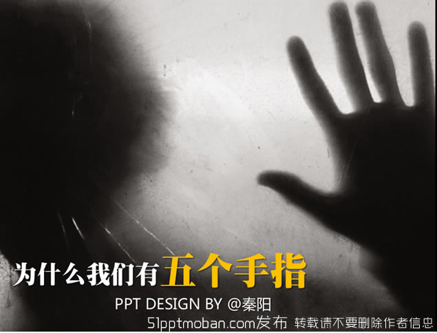 ΪʲôָpptƷ