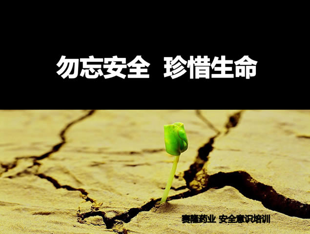 勿忘安全 珍惜生命——安全意识培训ppt模板