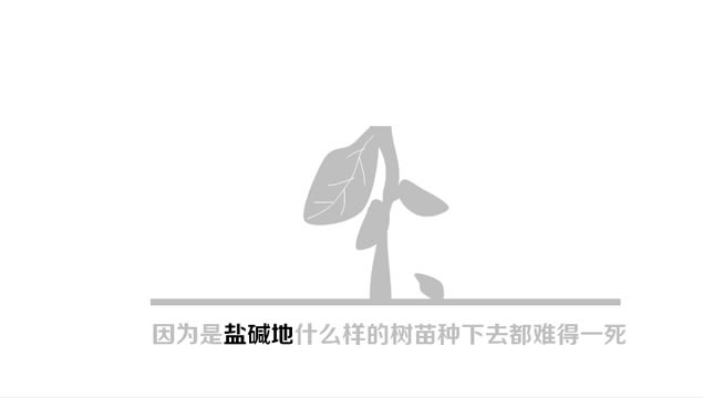 ֲ ̻滷pptģ3