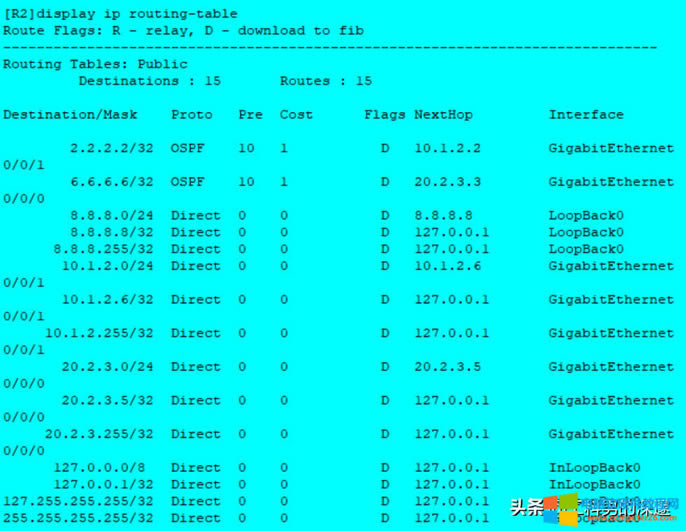 ̬·ɡRIP·ɡOSPF·öԱ