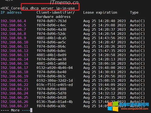 2鿴ѷַdisplay dhcp server ip-in-use