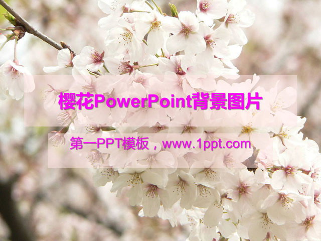 ѻPowerPointDƬMd