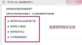 BitLockerܺUɵļҲܵķ
